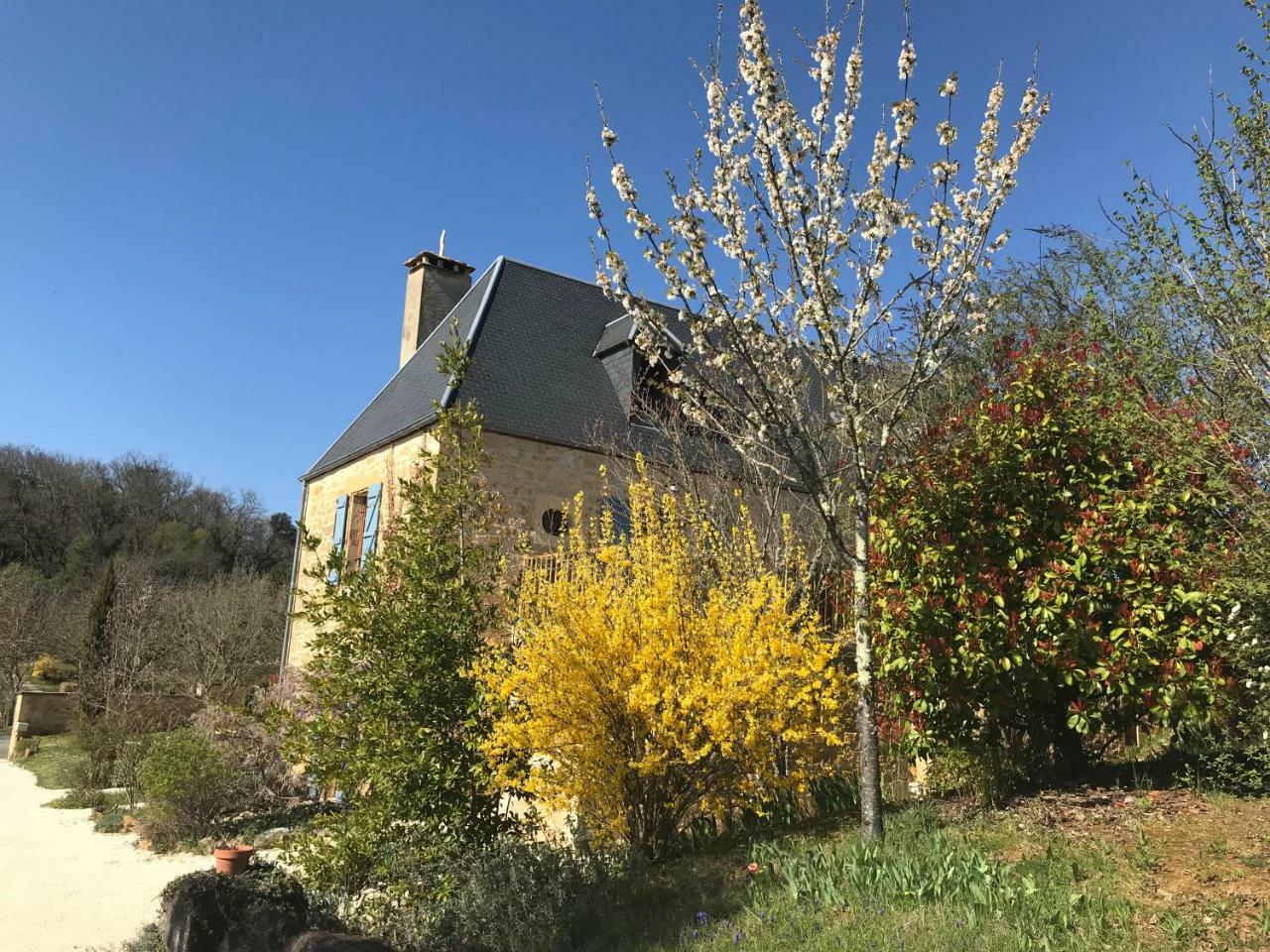 Villa La Riviere Esperance Veyrignac Exterior foto